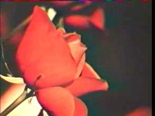 B B & S Distel  La bises aux hippies