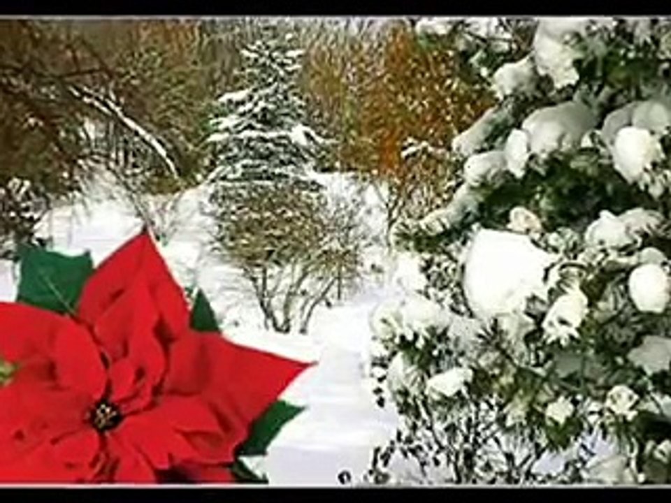 VIVALDI, PRIMAVERA, ALLEGRO