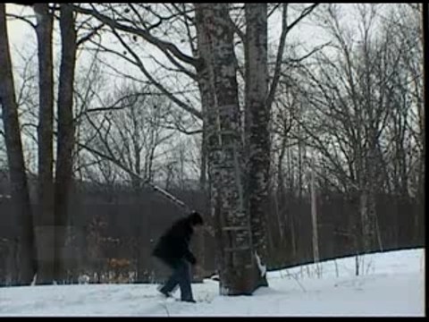 Diet Coke and Mentos Experiments