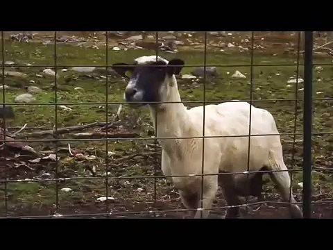 Fotos filtradas de Sam de iCarly Jennette McCurdy