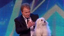Marc Métral and his talking dog Wendy wow the judges _ Audition Week 1 _ Britain's Got Talent 2015
