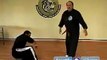 American Kempo Karate Techniques : Kenpo Karate Snapping Twig Techniques