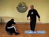 American Kempo Karate Techniques : Kenpo Karate Snapping Twig Techniques