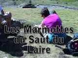 Les marmottes du saut du Laire