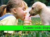 Policlínica Veterinaria Polivet El Poblado, Medellín EPS para mascotas con beneficios mensuales