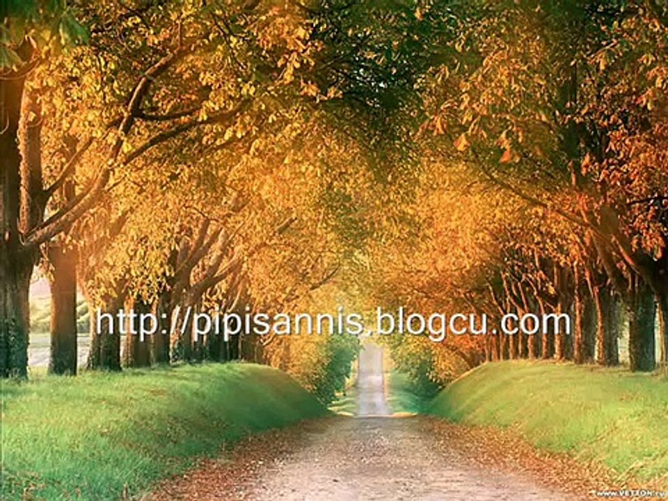 Şiir, Kenan Işık / Zerrin Özer / Veda