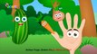 Finger Family Vegetables  Children Nursery Rhymes | Funny Vegetables  Cartoon Rhyme for Children