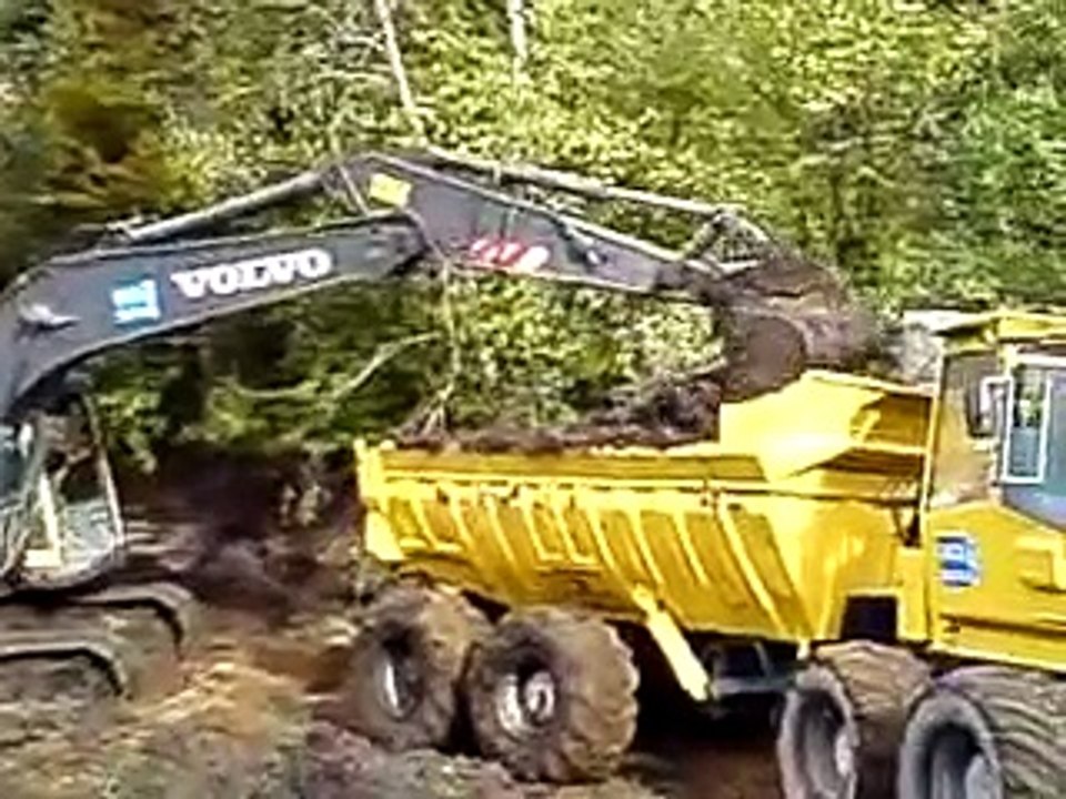 curage d'un étang à la pelle