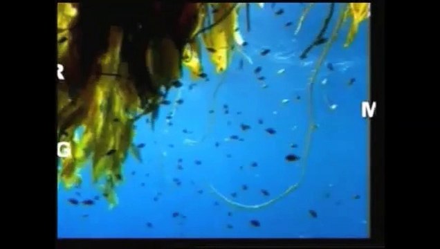 FULFILLED PROPHECY of Quran on EXPLORATION OF SPACE