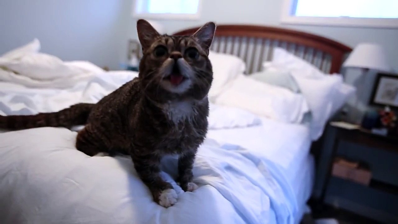A HUNGRY BUB