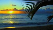 صوت البحر,شواطئ هاواي الخلابة - بدون موسيقى (1)