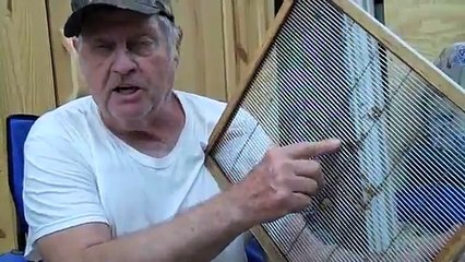 FBM Queen Excluders why you should not use them