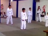 formas de taekwondo basicas la 1, 2 y 3