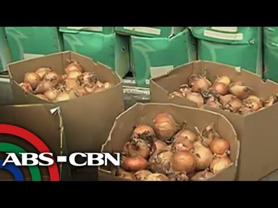 Import permits on onion under investigation
