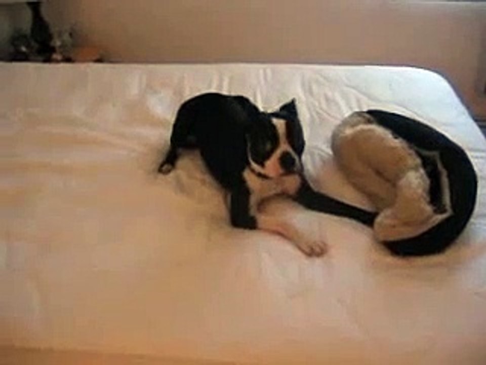 Deuce is so nuts!
