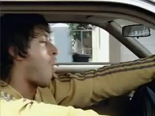 tosa (BB) or not,,,,,,,,,,,,,,,,,but cool dog