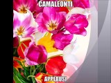 CAMALEONTI - Applausi