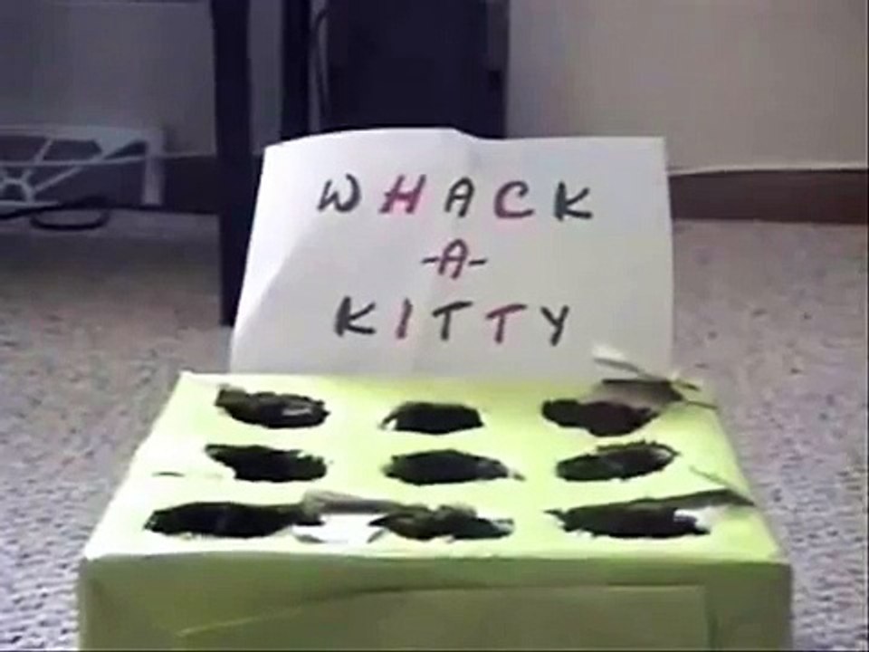 Whack-A-Kitty 2
