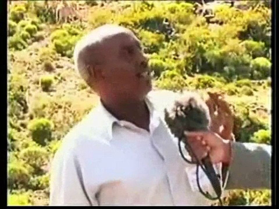 Berbera iyo Sheikh