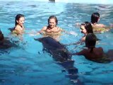 delfines manati park