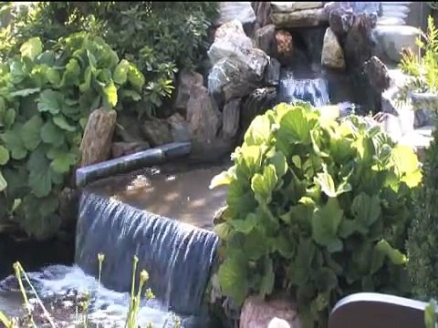 Le bassin de jardin Daniel, ATB TV