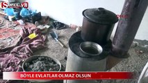 Sultan Nine'nin Anneler Günü'nü kim kutlayacak