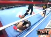 Remy Bonjasky VS Badr Hari (Slechte Verliezer) K-1 2008