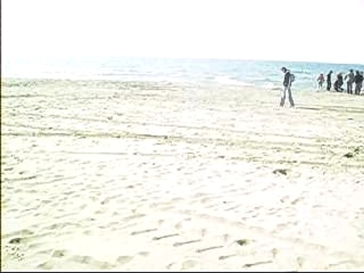 ⁣latin beach