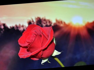 CAMALEONTI - L'ora dell'amore