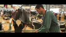 Aquitanima, Salon de l'Elevage et de la Génétique Bovine du Sud-Ouest