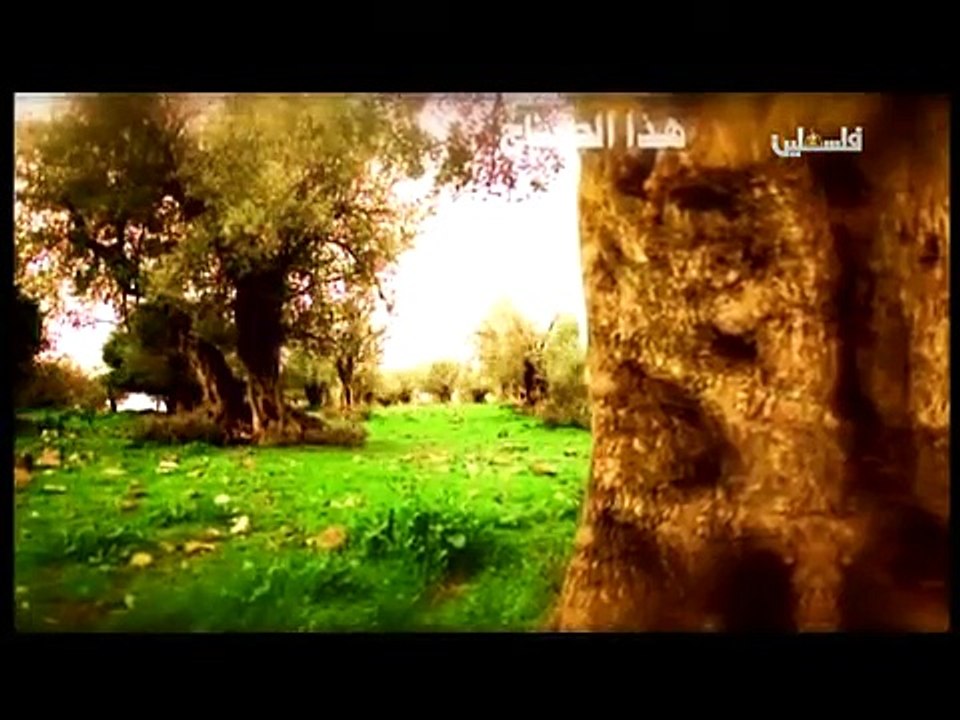 فلسطين هذا الصباح  ج1 - 10/5/2015