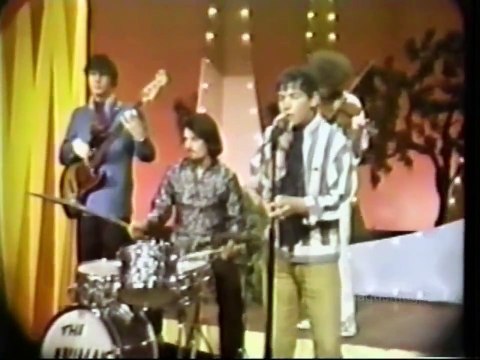Eric Burdon & The Animals - When I Was Young (1967)
