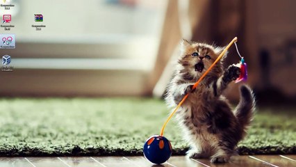 How To Install Android Apps on PC