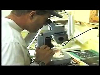 Human Impact: Synthetic Sea "plastic in the open ocean"