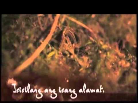 KAPAMILYA BLOCKBUSTERS: Corazon