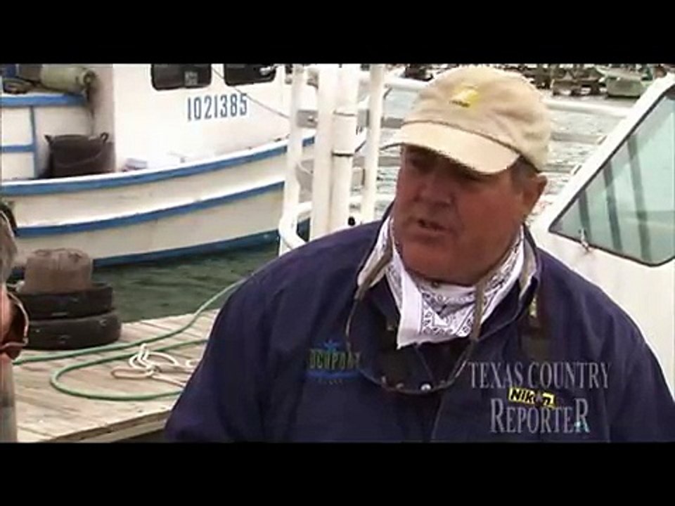 Endangered Whooping Cranes