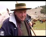 TRASHUMANCIA DE GANADO BRAVO, Antonio Fernández, El Zorro.