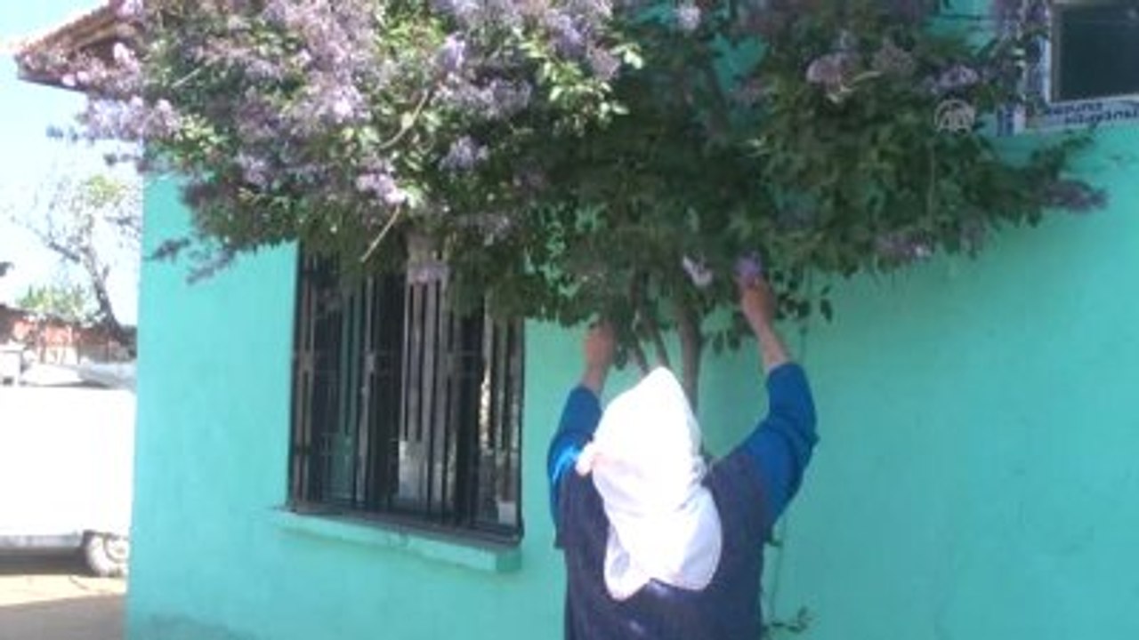 Anneler Günü"Nde Şehit Oğluna Koştu