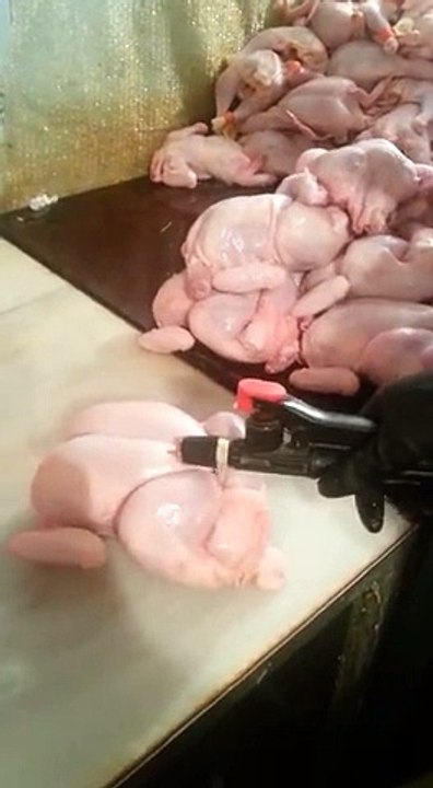 OMG! What We are Eating?