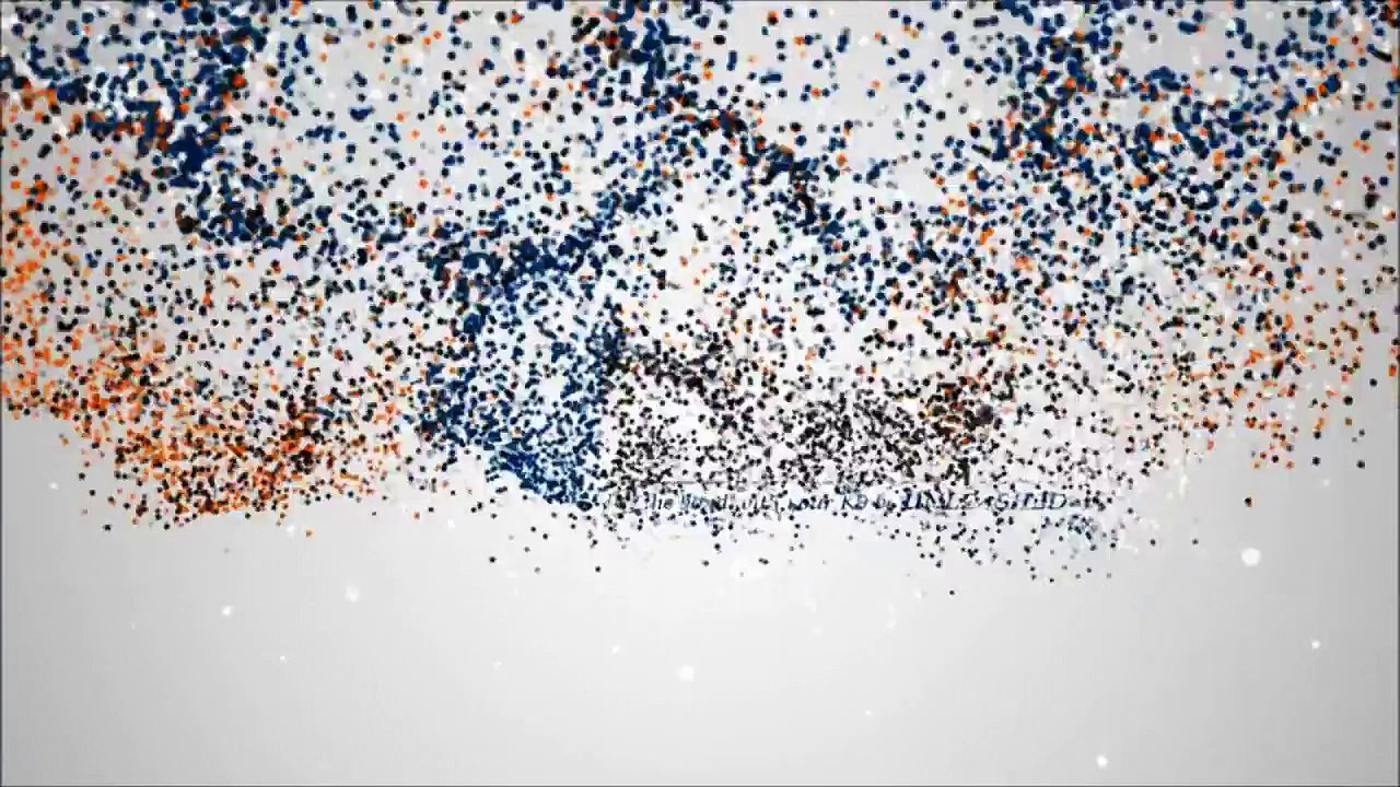 5mo old Lab Puppy "Millie" Before and After - Dog Training Raleigh Durham