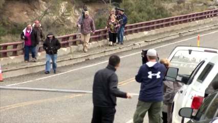 Des ours font fuir des promeneurs trop curieux aux États-Unis
