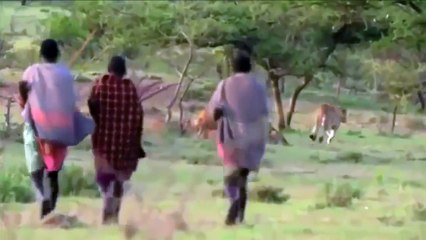 Những tình huống hài hước nhất - phần 8