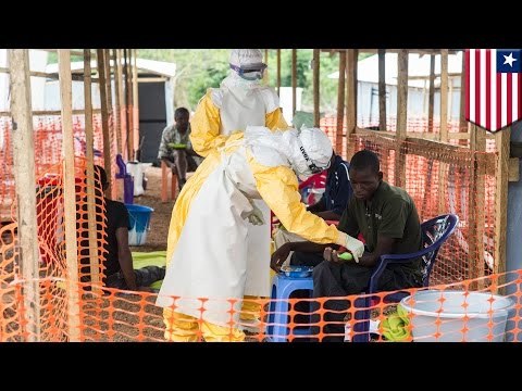 Ebola outbreak 2014: Doctors without Border runs treatment centres across West Africa