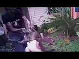 Caught on video: Florida cops use taser on pit bull after it rampaged through family’s home