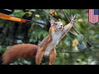 Dumb hunting accident: New York man confuses dad’s friends for squirrel, shoots him dead