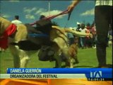 Festival de adopción de perros se realizó en La Carolina