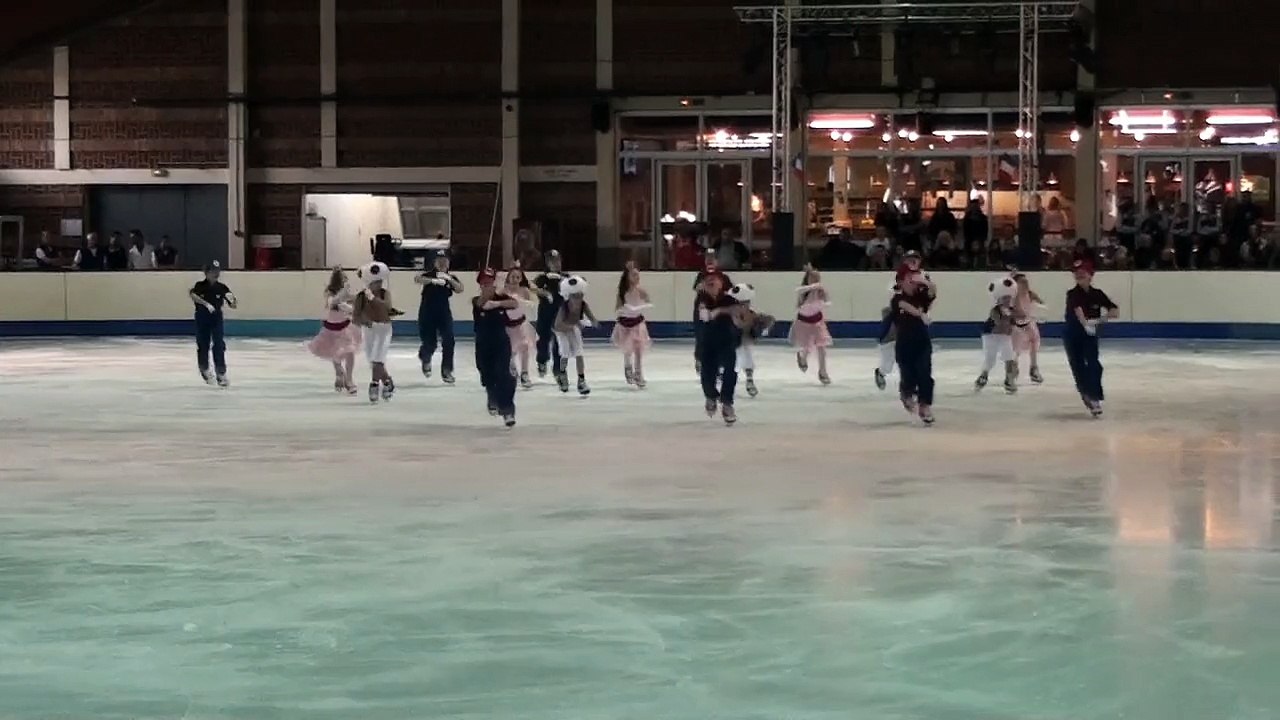 Programme libre Les Zimbawas (Villard-de-Lans) - 3ème en novices - Championnat de France 2015 de ballet sur glace