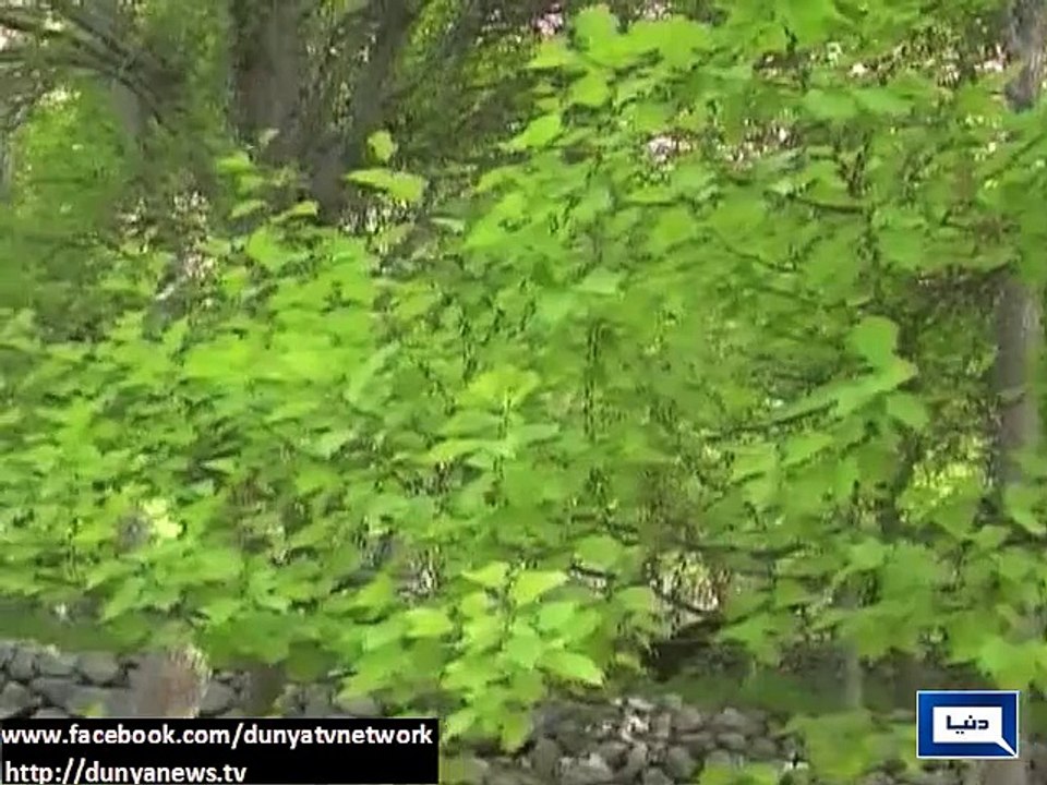 Dunya News-Gilgit-Baltistan's wonderful sights caste a spell on visitors