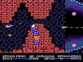 [NES] De A à Z : F1 Race