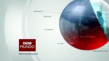 Vea a la gata que salvó a su dueño de un ataque de perro BBC MUNDO